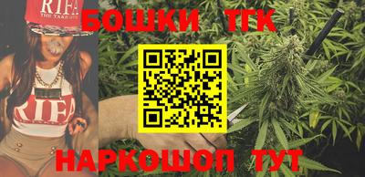 соль ск Можга