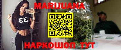 гидра Моздок