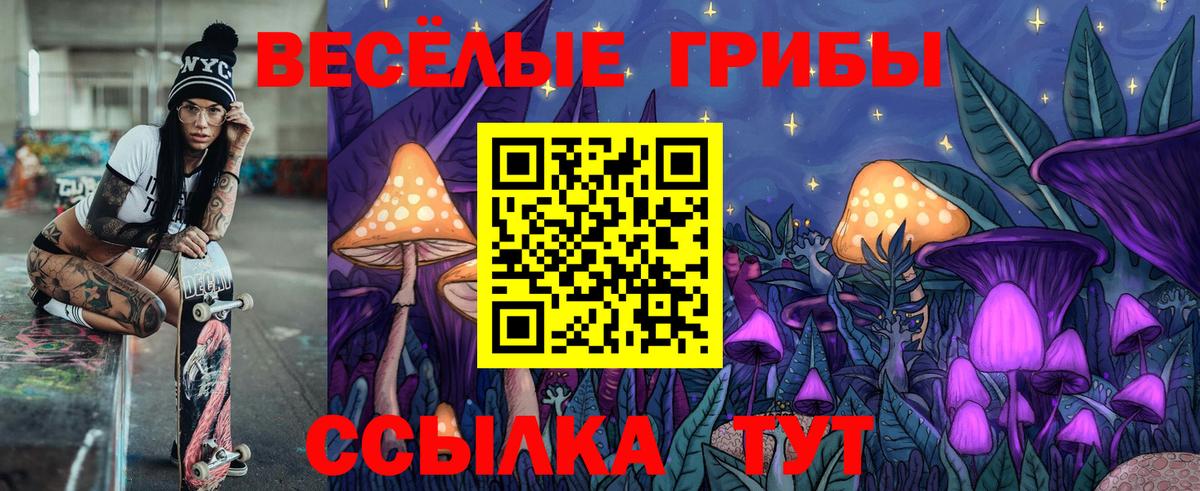 Псилоцибиновые грибы прущие грибы Шали