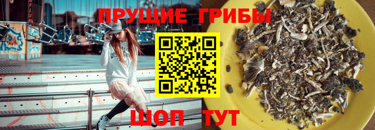 Псилоцибиновые грибы Psilocybe  Вход с VPN  Шали  Галлюциногенные грибы ЛСД 